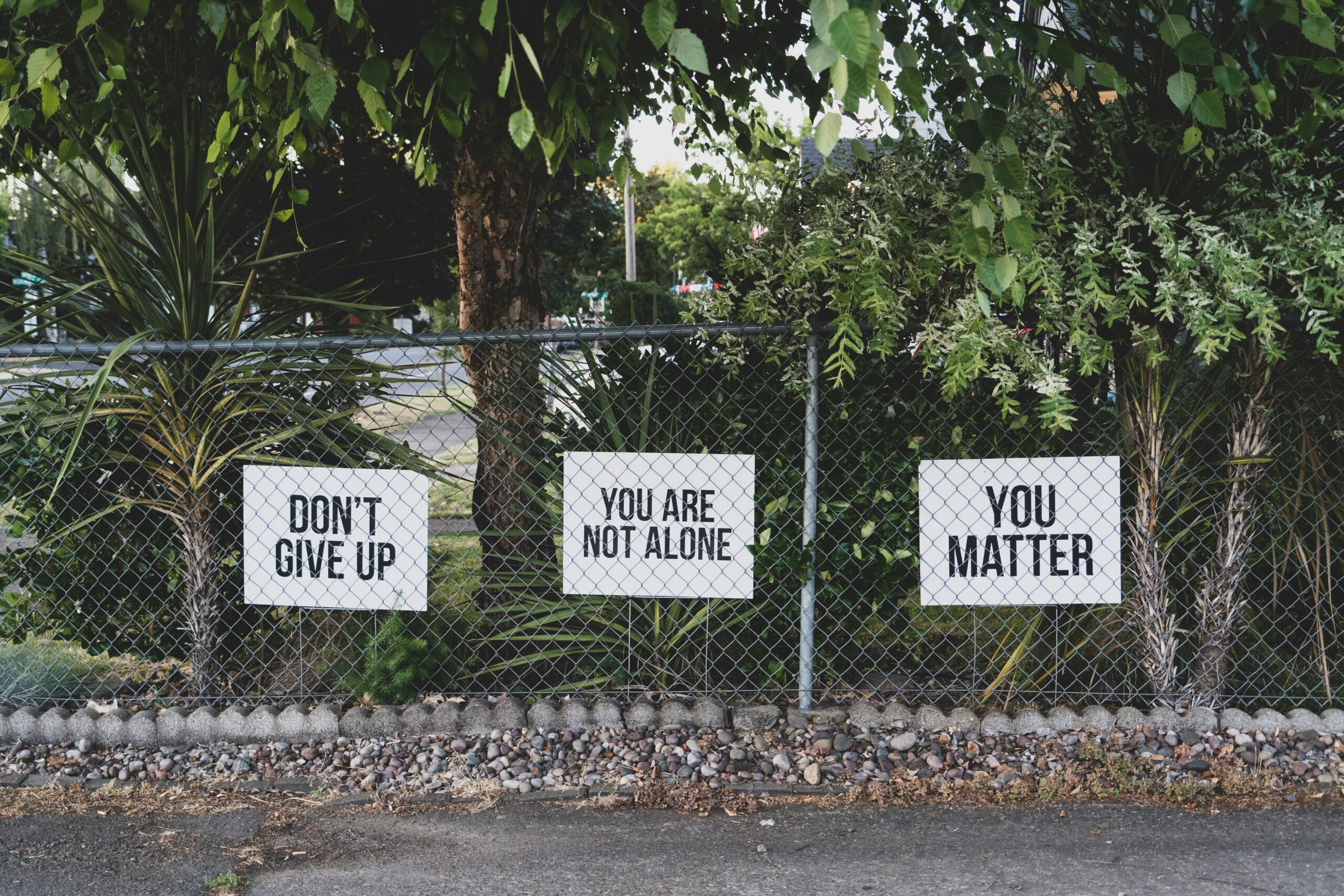 three signs on a fence with inspirational quotes. owning our story: a personal reflection